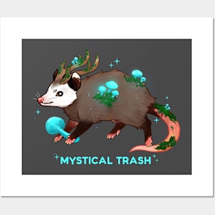 Mystical Trash Possum Posters and Art